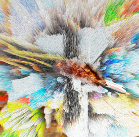 AIR CRASH INVESTIGATIONS